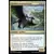 Les Combattants d\'Ixalan - Griffon resplendissant