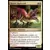Raptor implacable