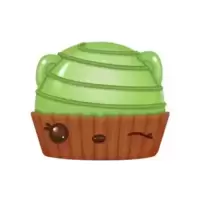 Kiwi Gloss-Up