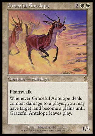 Odyssée - Antilope gracieuse