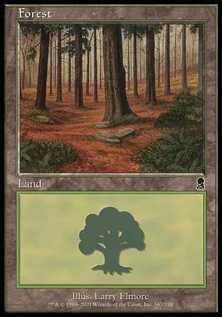 Odyssée - Forêt