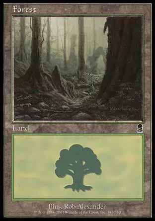 Odyssée - Forêt