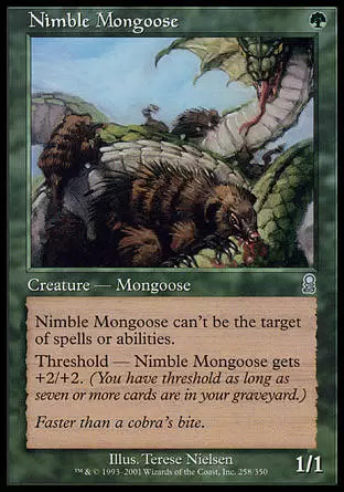 Odyssée - Mangouste agile