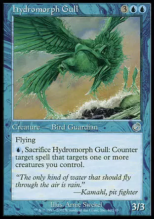 Tourment - Goéland hydromorphe