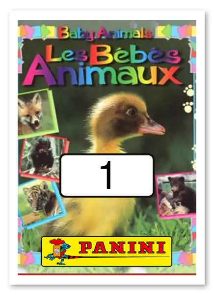 Baby Animals - Les Bébés Animaux - Image n°1