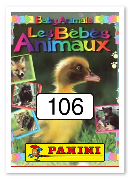 Baby Animals - Les Bébés Animaux - Image n°106