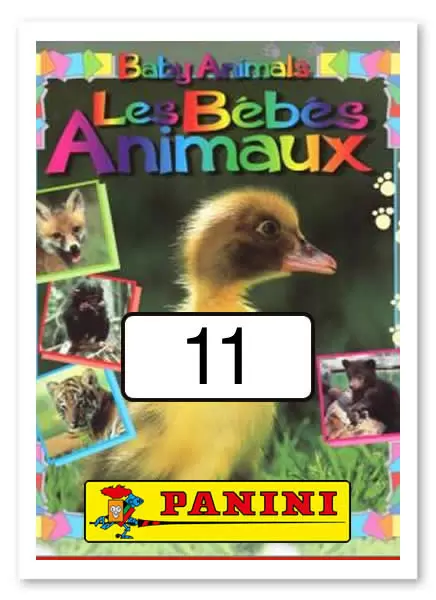 Baby Animals - Les Bébés Animaux - Image n°11