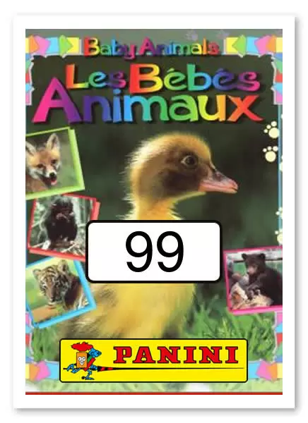 Baby Animals - Les Bébés Animaux - Image n°99