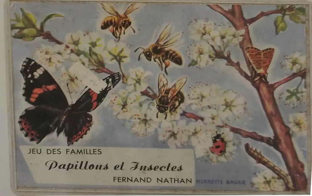 Jeu des 7 Familles - Jeu des Familles Fernand Nathan - Papillons et Insectes