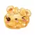 Golden Raisin