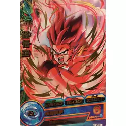 Dragon Ball Heroes Card H2-01