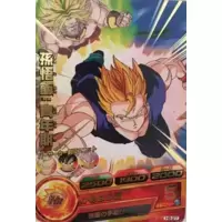 Dragon Ball Heroes Card H8-27