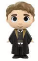Mystery Minis Harry Potter Series 3 - Cedric Diggory