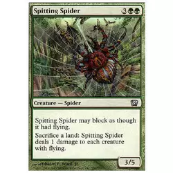 Araignée cracheuse