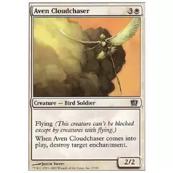 Avemain chasse-nuage