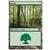 8ème Edition - Forêt