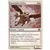 Griffon serres-rasoir // Griffon trancheserre