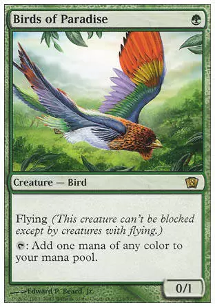 8ème Edition - Oiseaux de paradis