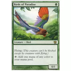 Oiseaux de paradis