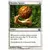 8ème Edition - Sphère de bois