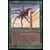 Limited Edition Alpha - Giant Spider