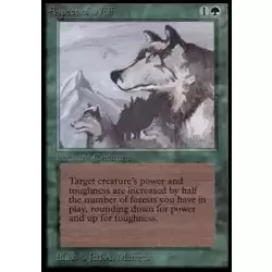 Aspect of Wolf