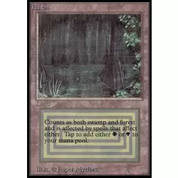 Bayou