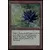 Black Lotus