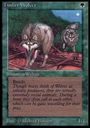 Limited Edition Alpha - Timber Wolves