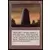 Basalt Monolith