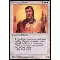 Northern Paladin