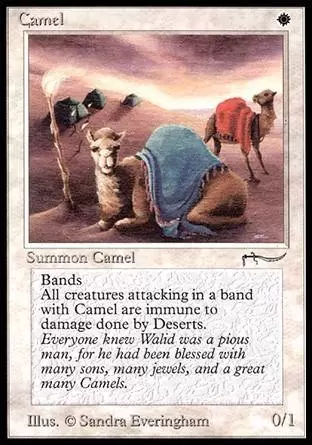Arabian Nights - Camel