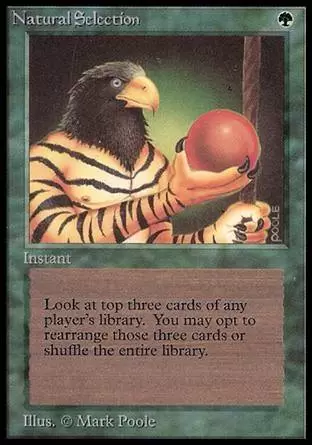 BETA - Natural Selection