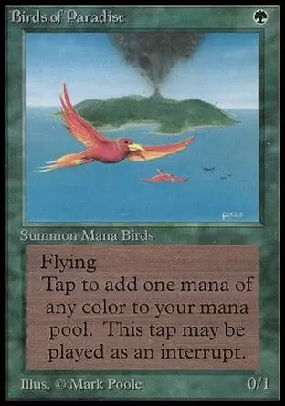 BETA - Oiseaux de paradis