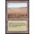 Savane