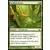 Éclaireur viridian