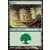 Forêt