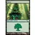 Forêt