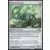Scorpion de Mephidross