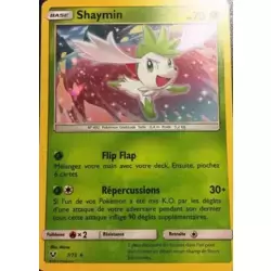 Shaymin Holographique