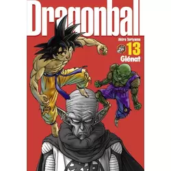Tome 13