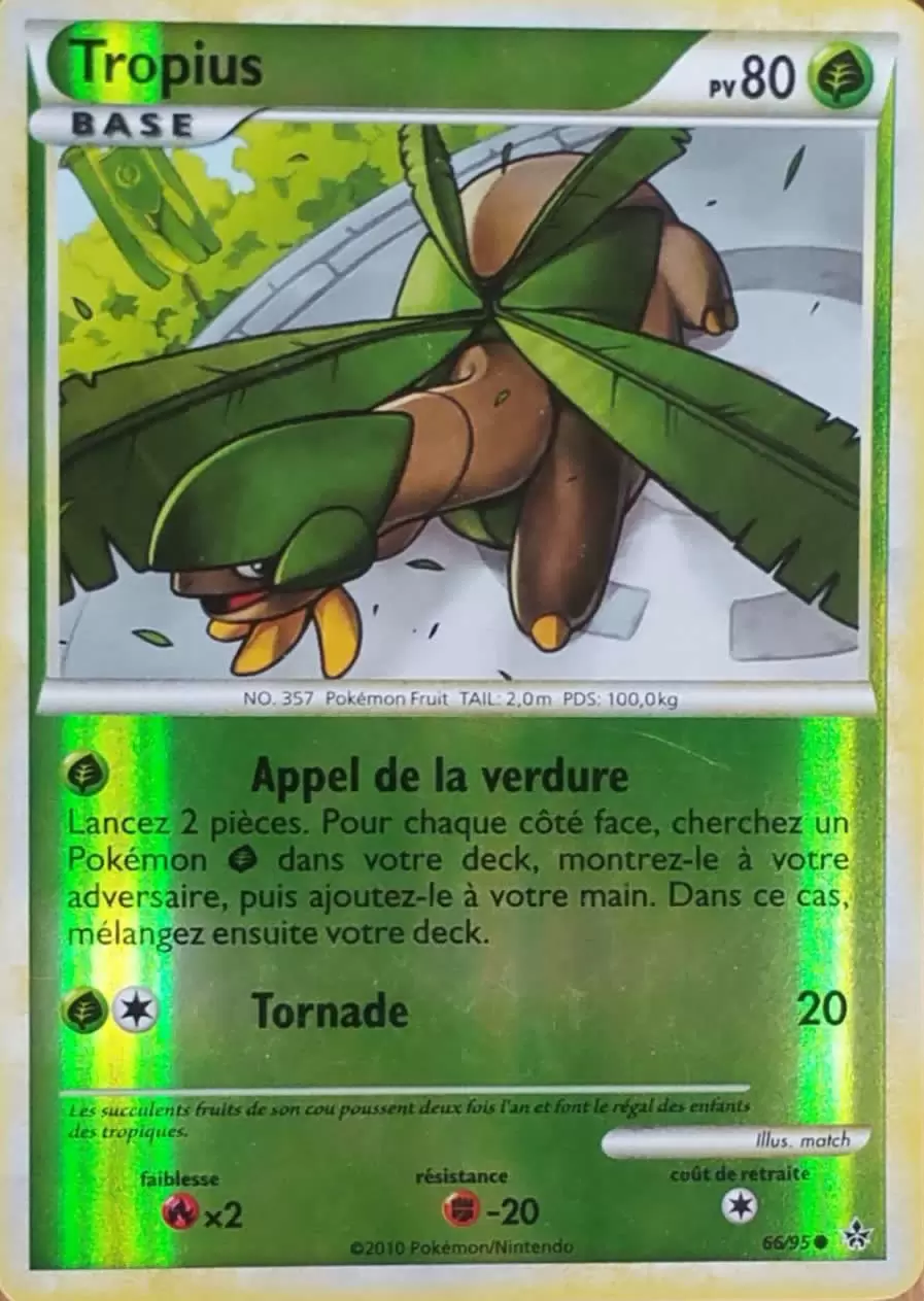 Pokémon Série HS-Déchaînement - Tropius Reverse