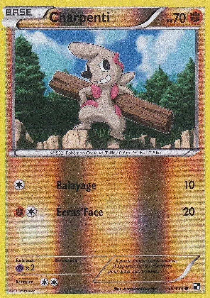 Pokémon Série Noir et Blanc - Charpenti Reverse