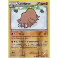 Cochignon Reverse