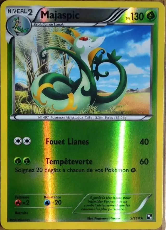 Pokémon Série Noir et Blanc - Majaspic Reverse