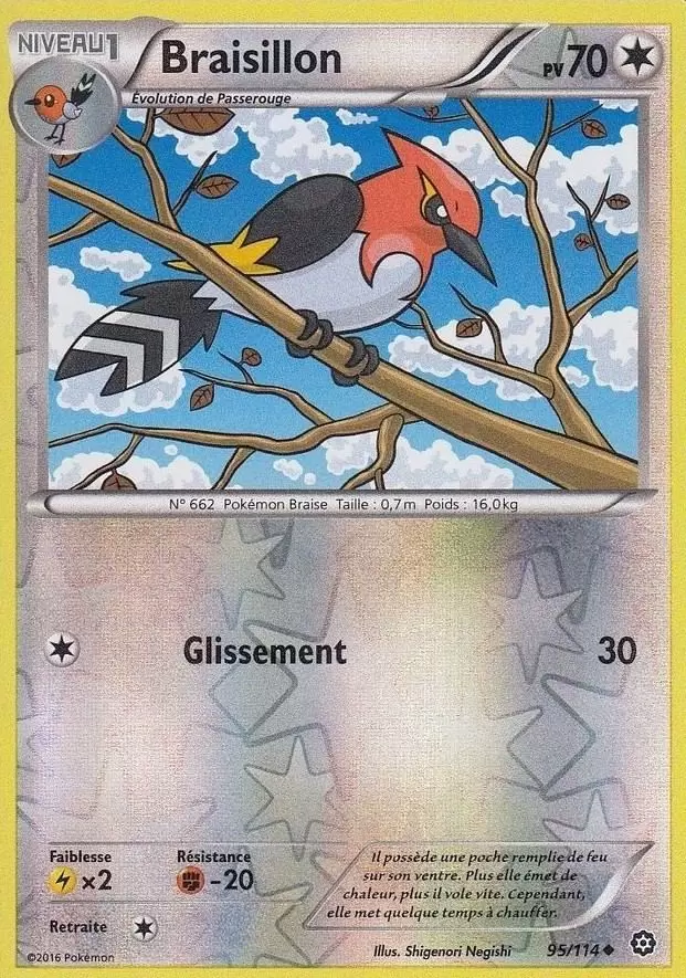 Pokémon XY Offensive Vapeur - Braisillon Reverse