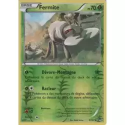 Fermite Reverse