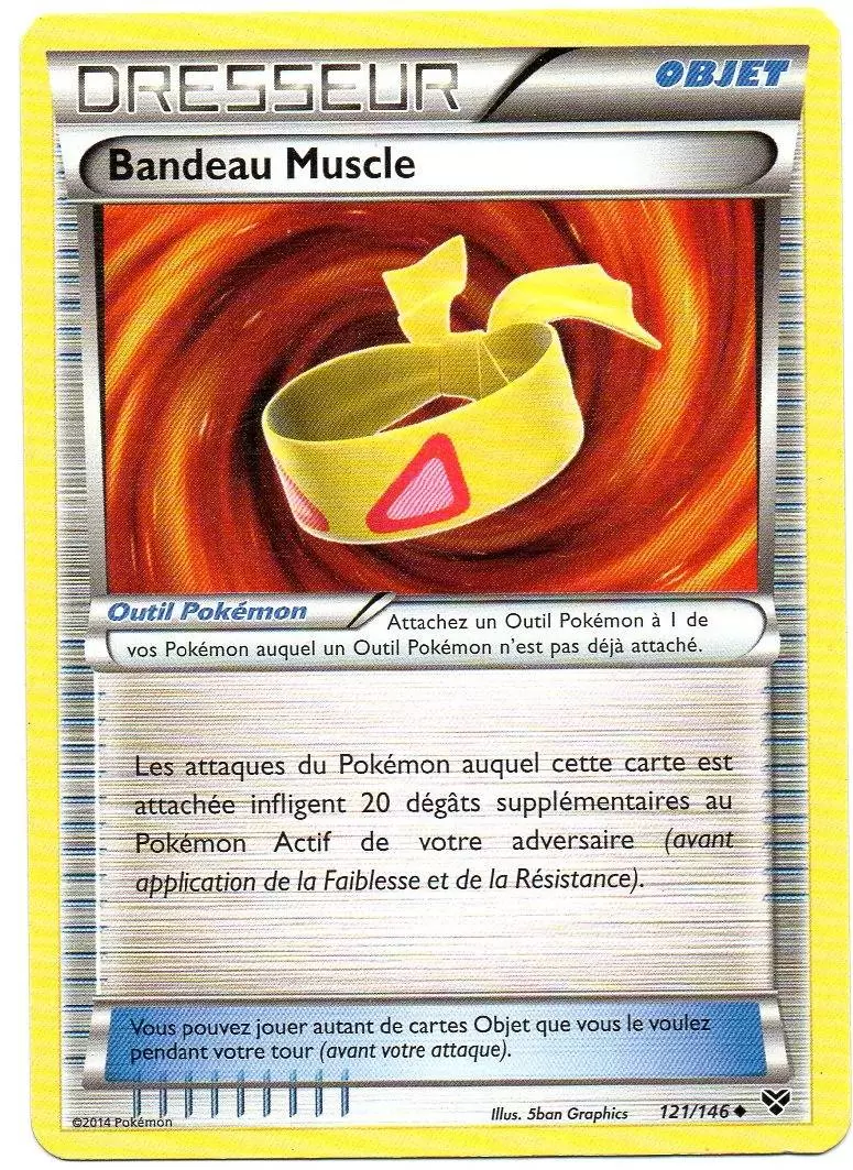 Série XY - Bandeau Muscle