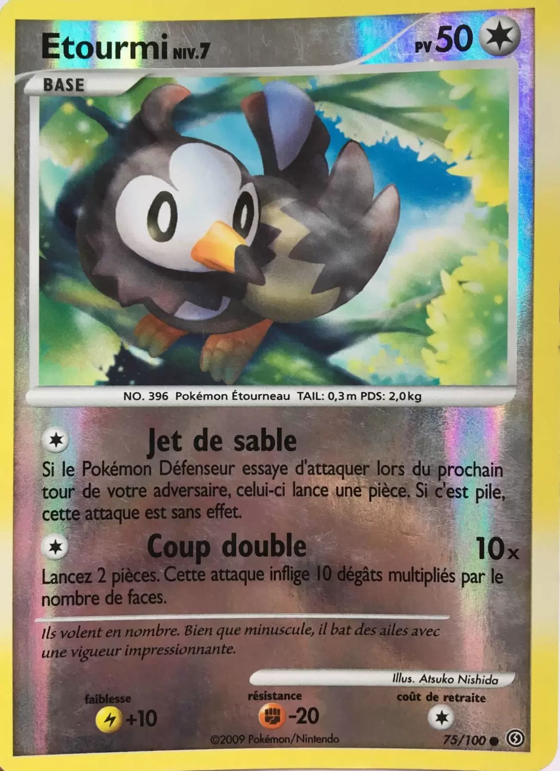 Tempête - Etourmi Reverse