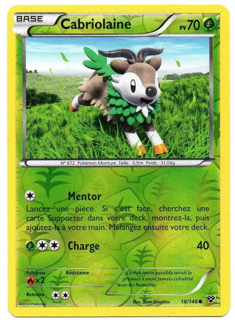 Série XY - Cabriolaine Reverse